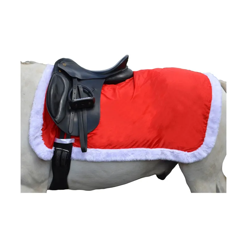 HyChristmas Santa Exercise Sheet for Horses